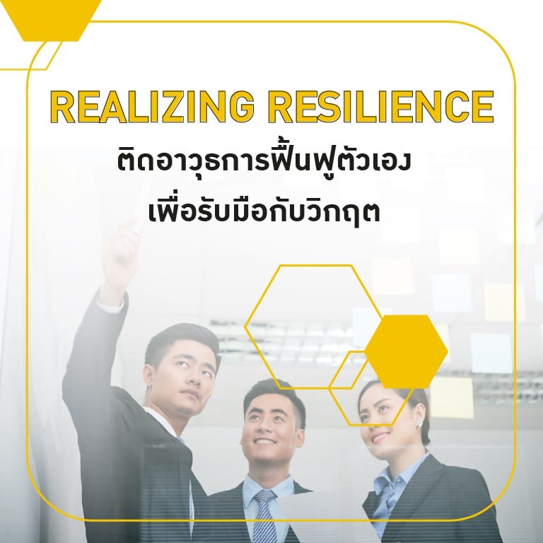 realizing-resilience_xgXXl